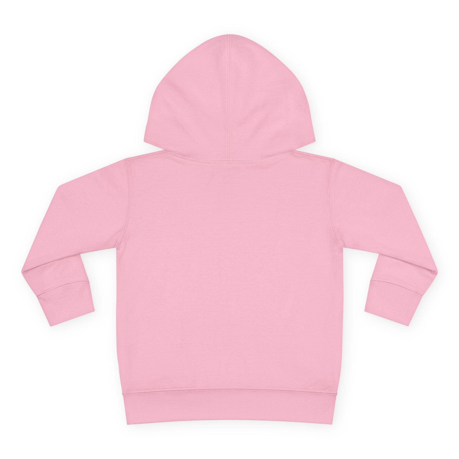 Seek God. Love People. – Script Toddler Hoodie – product image 15