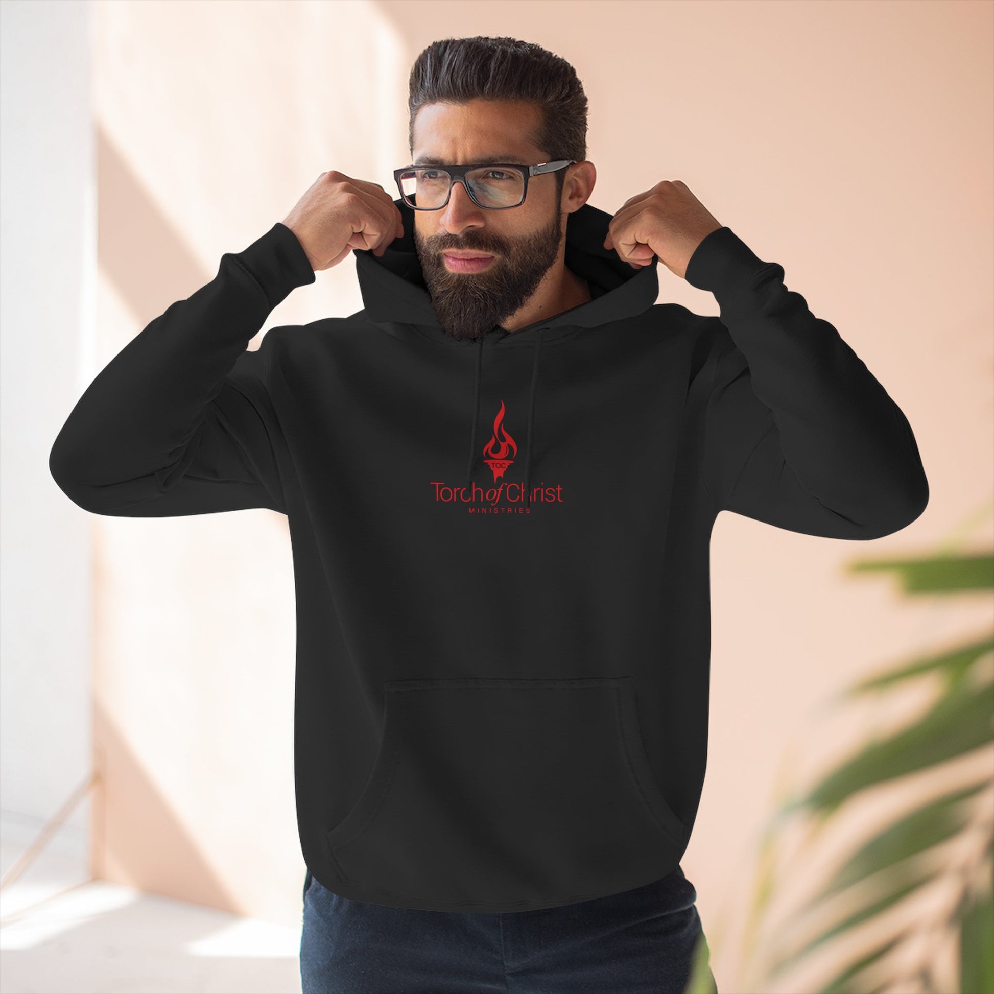 Red embroidered Torch Logo Lane Seven fleece hoodie
